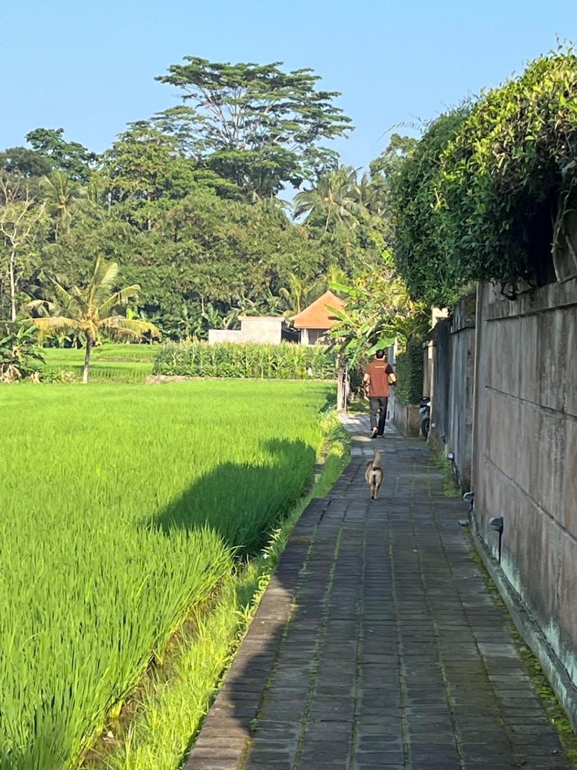 Uma Padi Villa Ubud  Exterior photo