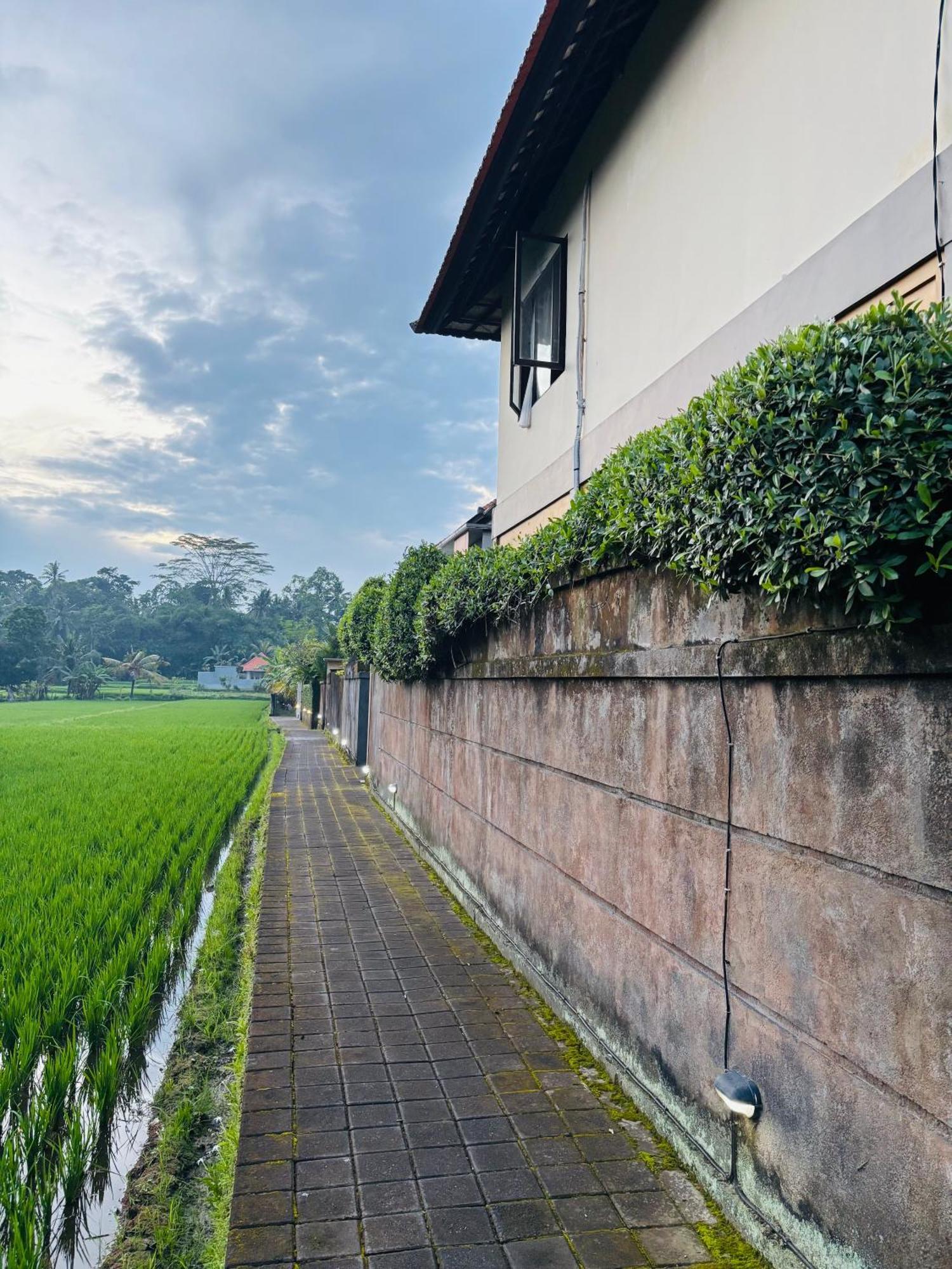 Uma Padi Villa Ubud  Exterior photo