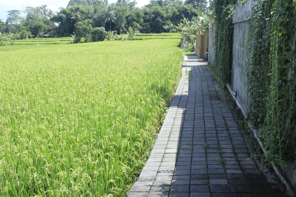 Uma Padi Villa Ubud  Exterior photo