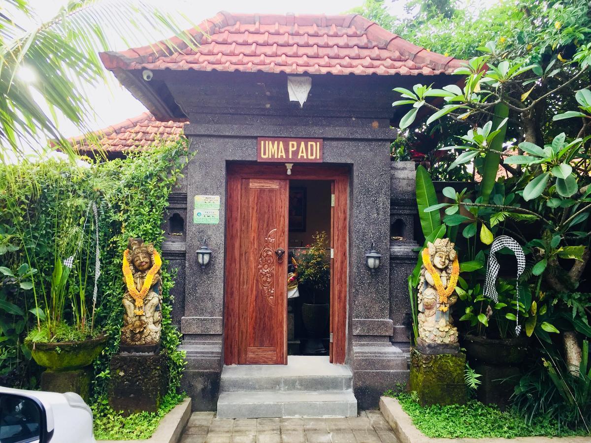 Uma Padi Villa Ubud  Room photo